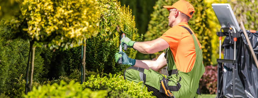 gardening-services-landscape maintenance Landscape Maintenance Services